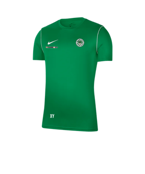 Nike Park 20 Training Shirt Grün F302
