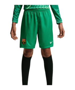 Nike FC Barcelona Torwartshort 2026/2027 Kids Grün F324 - gruen