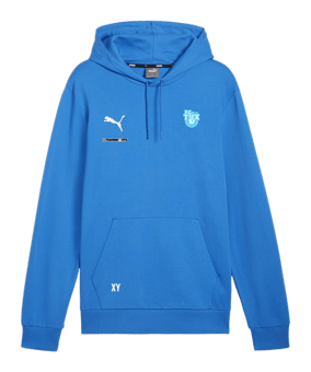 PUMA teamGOAL Casuals Hoody Blau F02