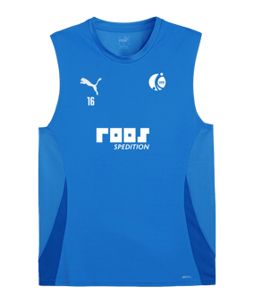 PUMA teamGOAL Tanktop Blau Weiss F02
