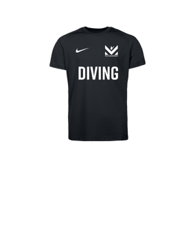 Nike Park VIII Trikot Kids Schwarz F010