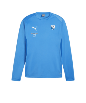 PUMA teamGOAL Training Sweatshirt Blau F02