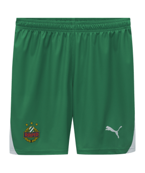 PUMA SK Rapid Short Home 2024/2025 Grün F01 - gruen