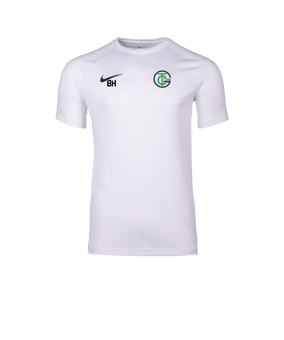 Nike Park VIII Trikot Weiß F100
