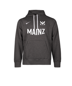 Nike Park 26 Hoody Grau F071