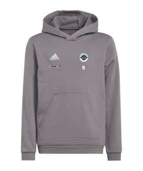 adidas Entrada 22 Hoody Kids Grau