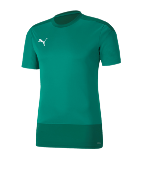 PUMA teamGOAL 23 Training Trikot Grün F05 - gruen