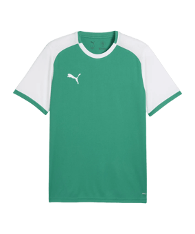 PUMA teamLIGA26 Matchday Trikot Grün F05 - gruen