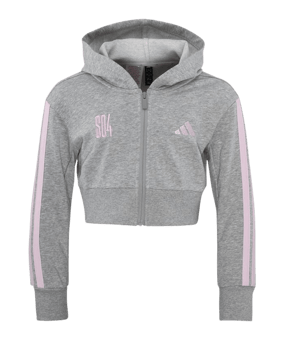 adidas FC Schalke 04 Kapuzenjacke Kids Grau - grau