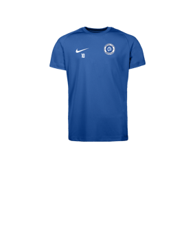 Nike Park VIII Maillot Enfants Bleu C463