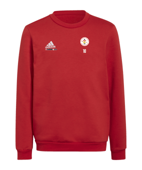 adidas Entrada 22 Sweatshirt Kids Rot