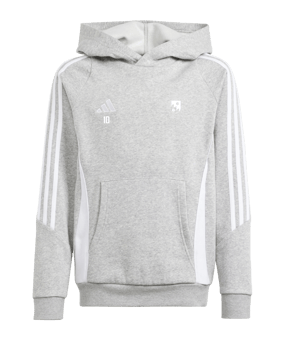 adidas Tiro 24 Hoody Kids Grau Weiss
