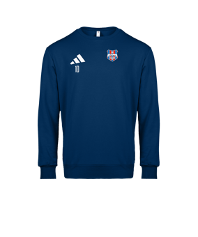 adidas Entrada 26 Sweatshirt Blau