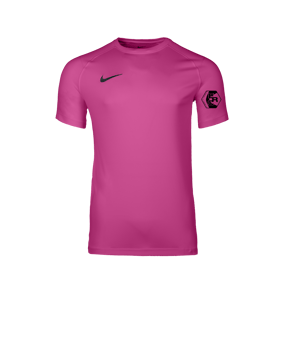 Nike Park VIII Trikot Rosa F616
