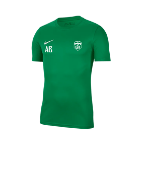 Nike Park VII Trikot kurzarm Grün F302