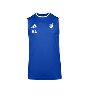 adidas Entrada 26 Trikot Blau