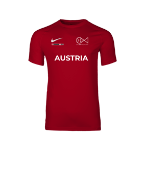 Nike Park VIII Trikot Rot F657