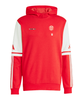 adidas Squadra 25 Hoody Rot