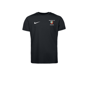 Nike Park VIII Trikot Kids Schwarz F010
