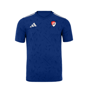 adidas Team Icon 25 Trikot Hellblau