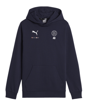 PUMA teamGOAL Casuals Hoody Kids Blau F06