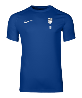 Nike Park VIII Trikot Blau F463