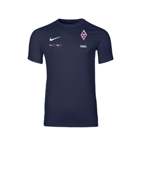 Nike Park VIII Trikot Blau F410