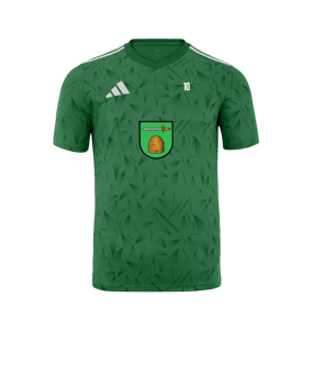 adidas Team Icon 25 Trikot Grün