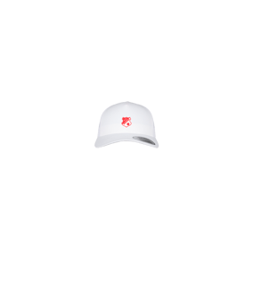 Merch 5 Panel Retro Trucker Cap Weiss | logo4c