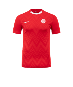 Nike Challenge V Trikot Rot Weiss F657