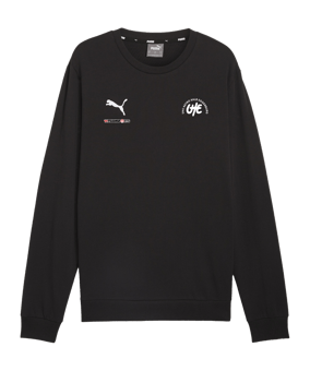 PUMA teamGOAL Casuals Sweatshirt Schwarz F03