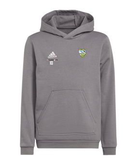adidas Entrada 22 Hoody Kids Grau