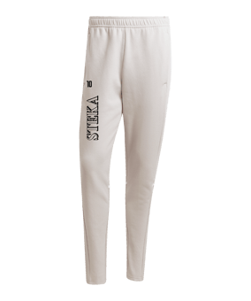 adidas Squadra 25 Jogginghose Grau