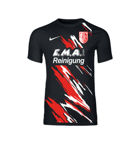 Nike Park VIII Trikot Schwarz F010