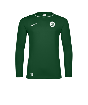 Nike Park 26 Longsleeve Grün F302
