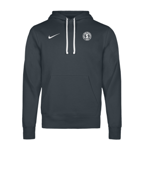 Nike Park 26 Hoody Grau F071