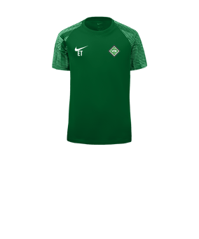 Nike Academy Trikot Kids Grün Weiss F302