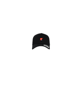 Merch 5 Panel Curved Snapback Cap Schwarz | logo4c