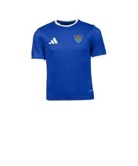 adidas Entrada 26 Camiseta Niños Azul 