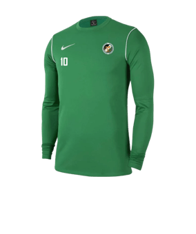 Nike Park 20 Sweatshirt Grün Weiss F302