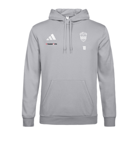 adidas Entrada 26 Hoody Grau