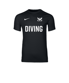 Nike Park VIII Trikot Schwarz F010