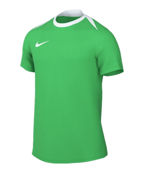 Nike Academy Pro 24 Trainingsshirt Grün Weiss F329 - gruen