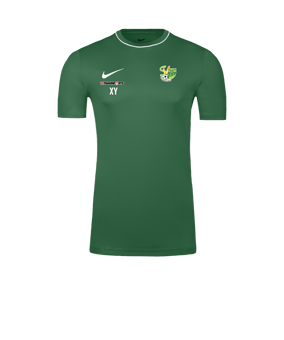 Nike Park 26 Trainingsshirt Grün F302