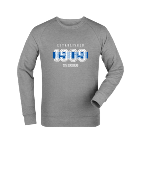 Merch Roller Sweatshirt Heather Grey | #established
