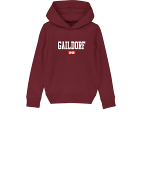 Merch Mini Cruiser 2.0 Hoody Kids Burgundy FC244
