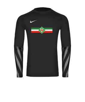 Nike Park V Torwarttrikot Langarm Schwarz F010
