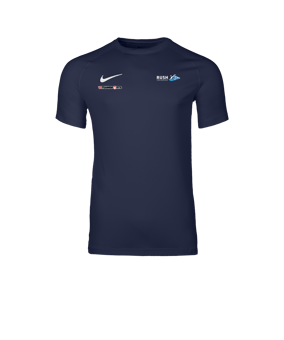 Nike Park VIII Trikot Blau F410