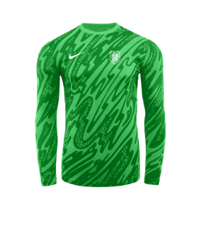 Nike Gardien V Torwarttrikot Grün F329