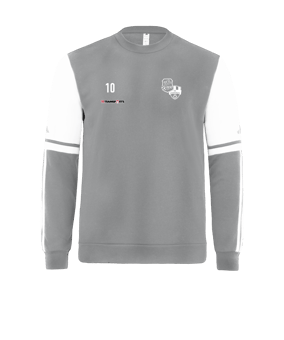 adidas Squadra 25 Sweatshirt Grau